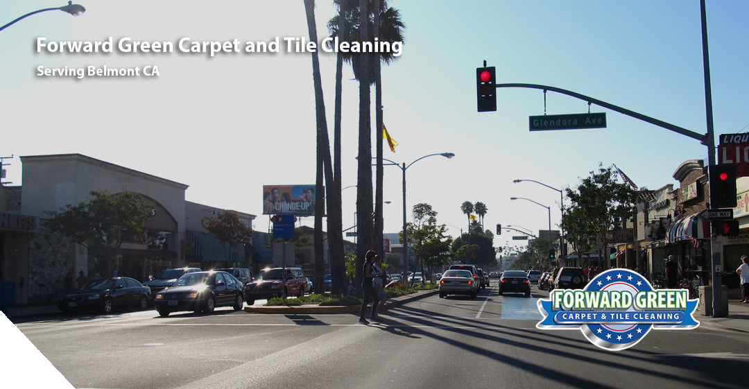 Carpet Cleaning Services in Belmont, CA