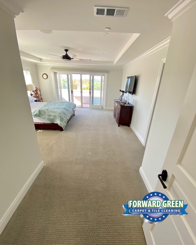 Carpet Cleaning In San Carlos, CA