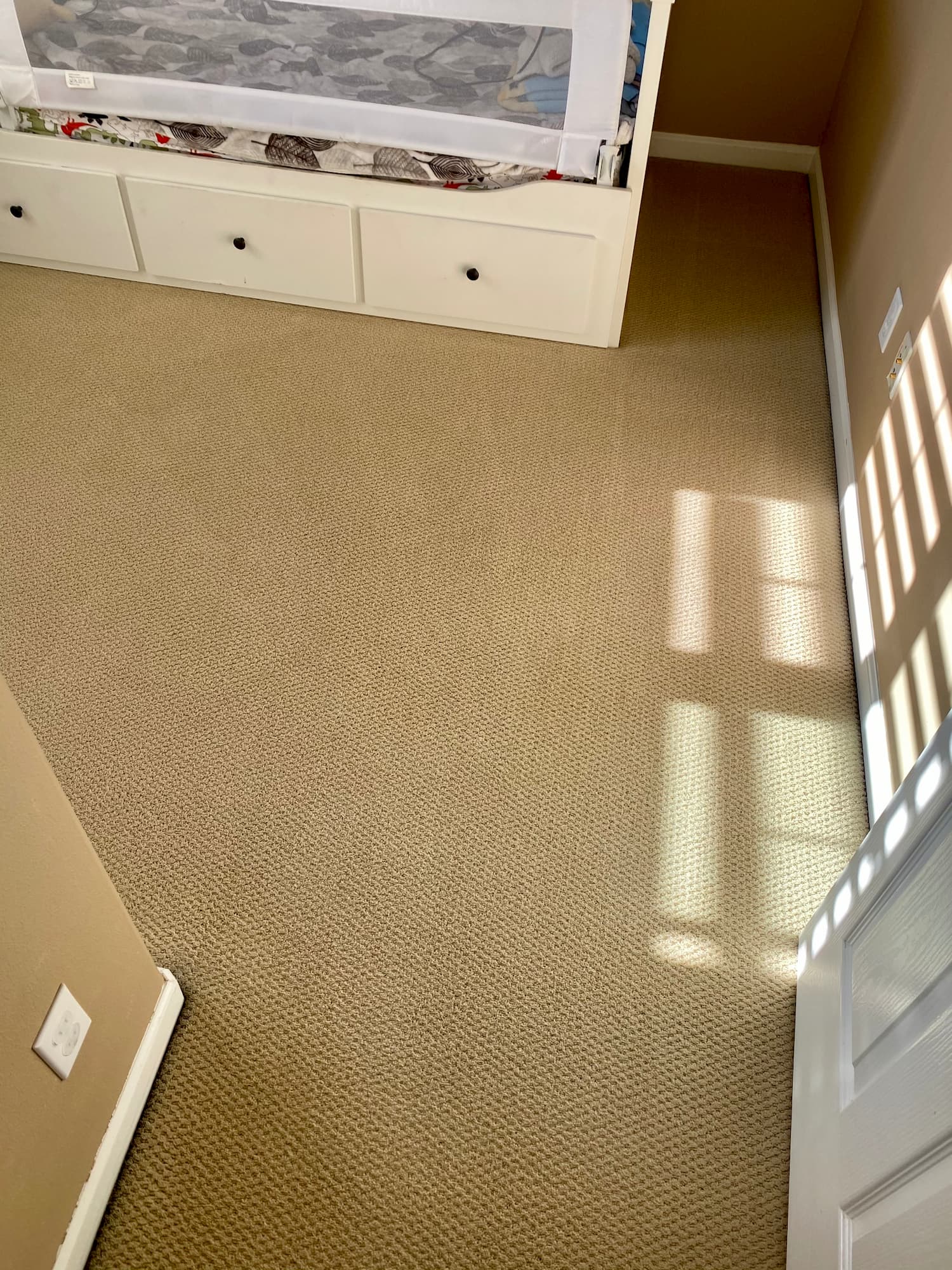 Residential Carpet Cleaning in Belmont, CA