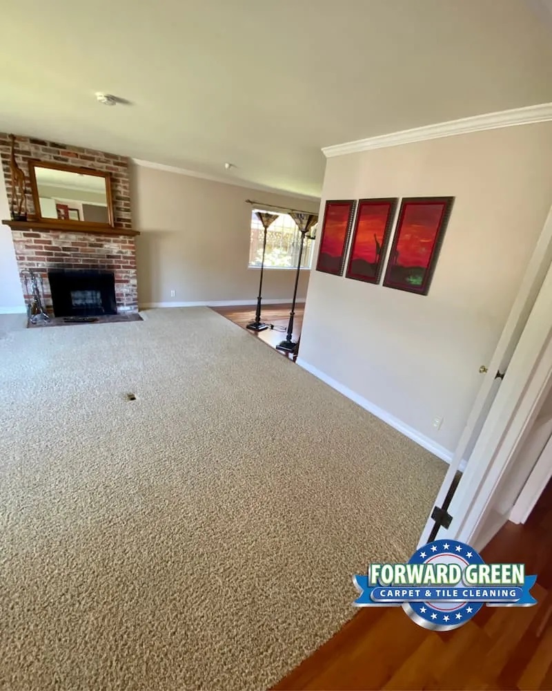 Residential Carpet Cleaning In San Carlos, CA