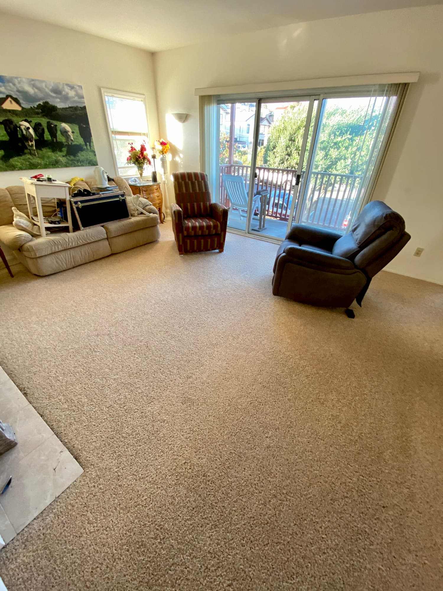 Residential Carpet Cleaning in South San Francisco, CA 94080