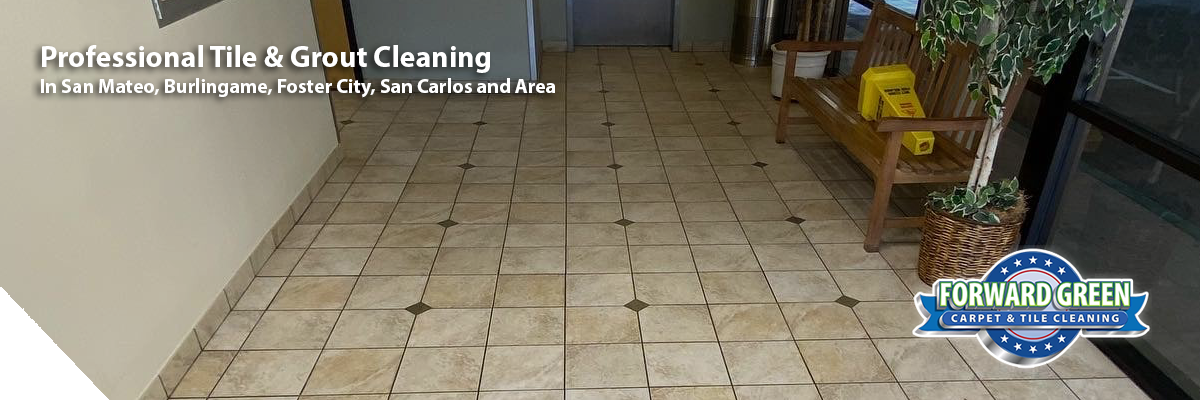 Tile and Grout Cleaning