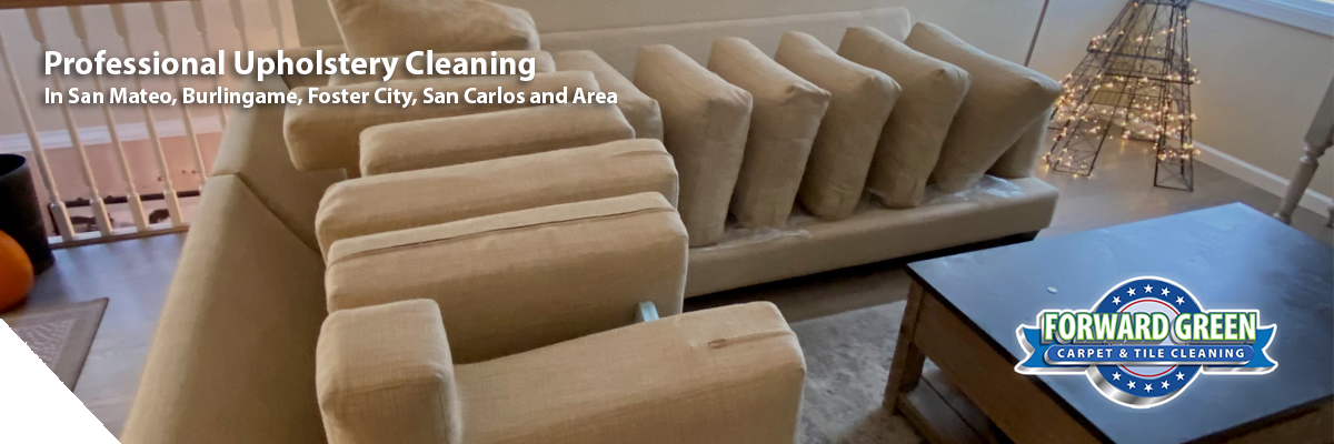 Upholstery Cleaning