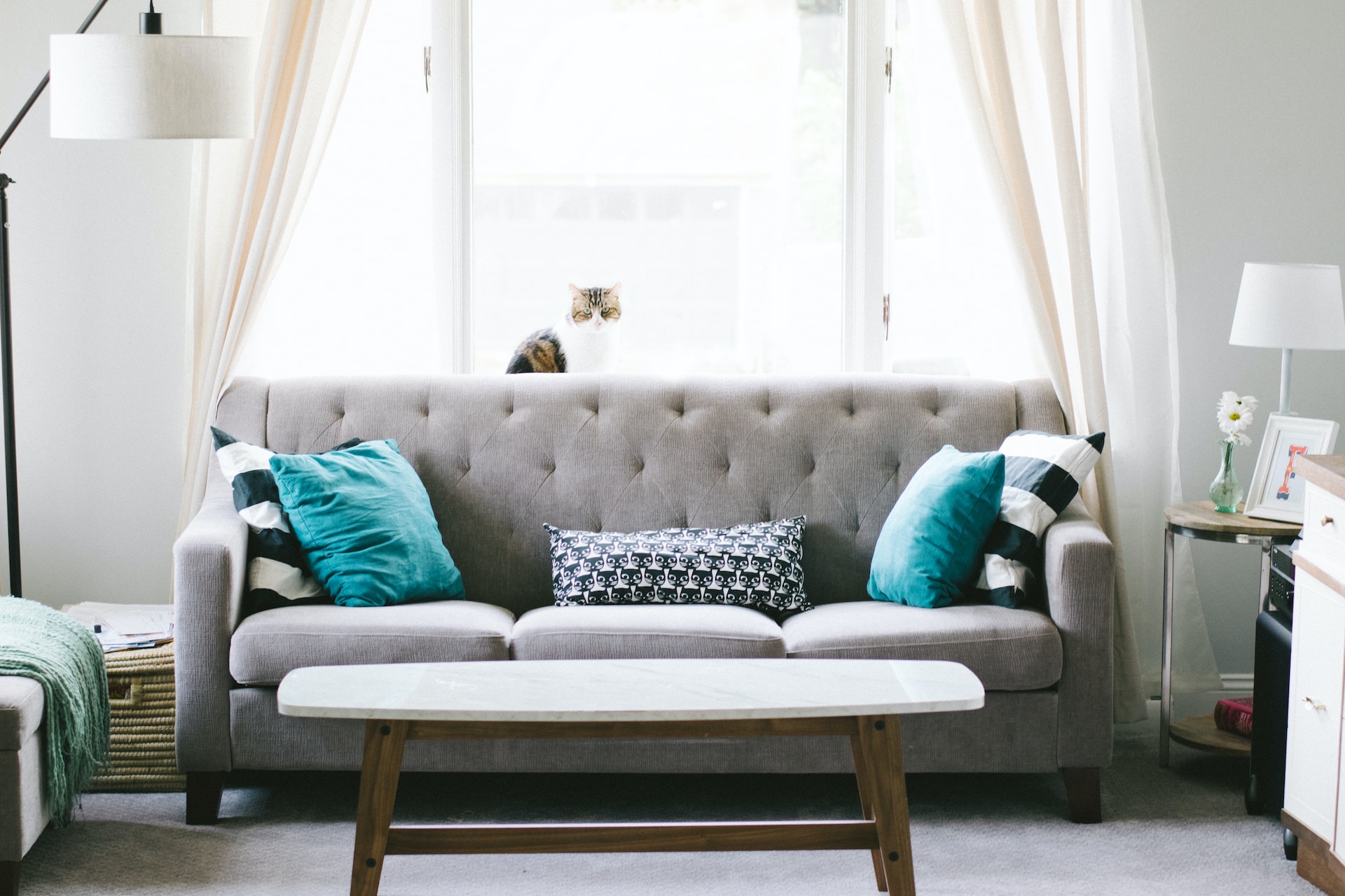 The Benefits of Professional Upholstery Cleaning Services for Your Home