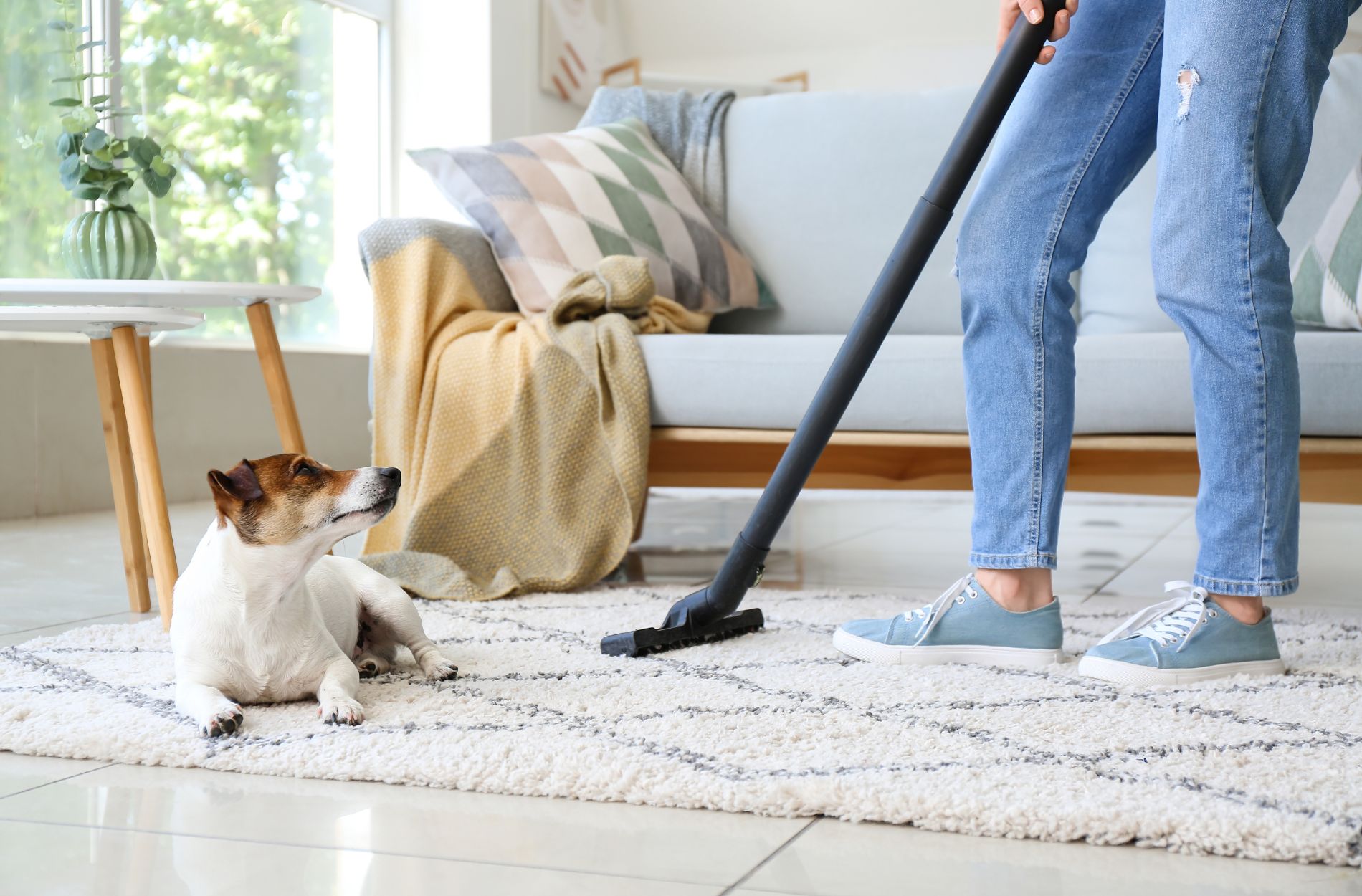 Top Eco-Friendly Carpet Cleaning Tips for Homeowners