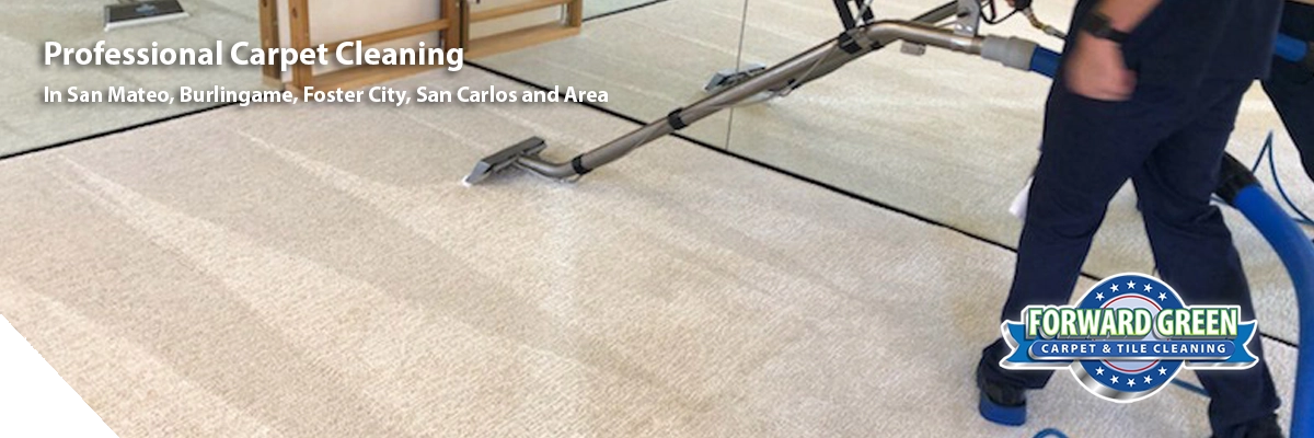 Professional Carpet Cleaning Services