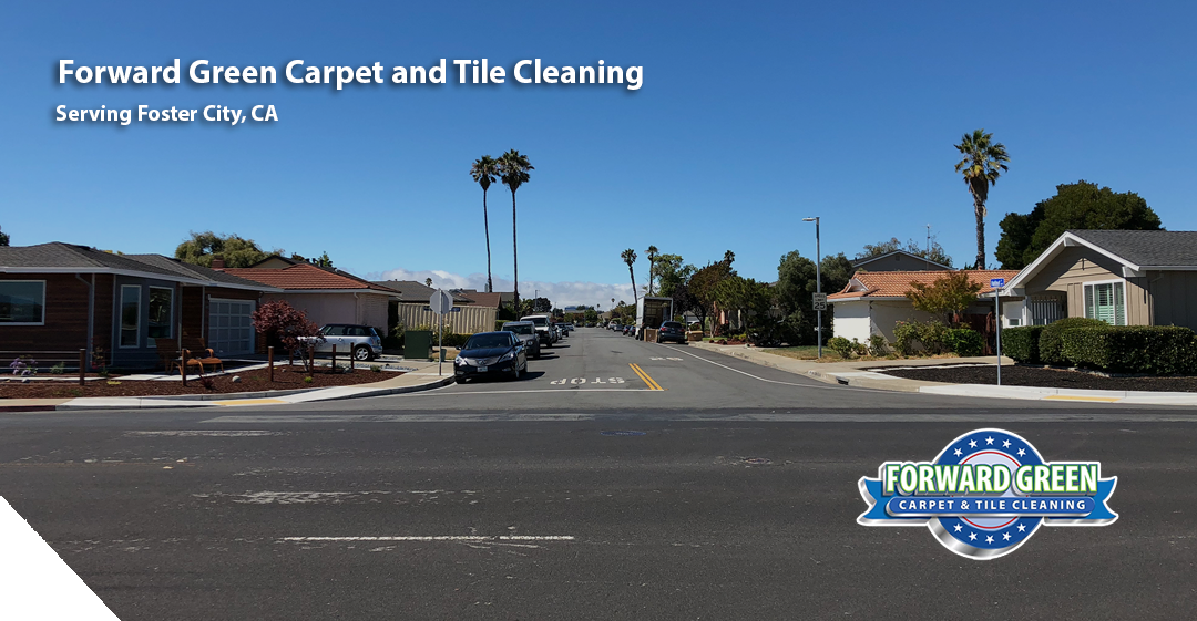 Carpet and Tile Cleaning Services in Foster City