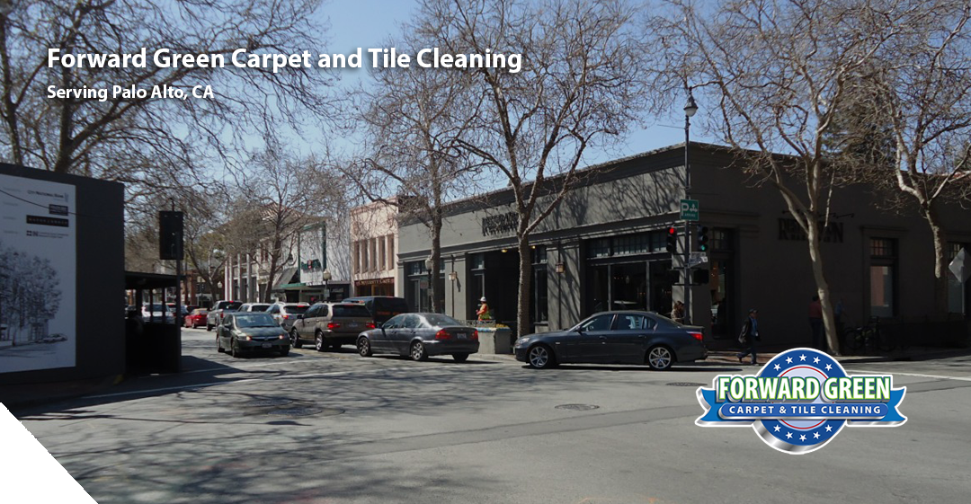 Carpet Cleaning Services in Palo Alto, CA