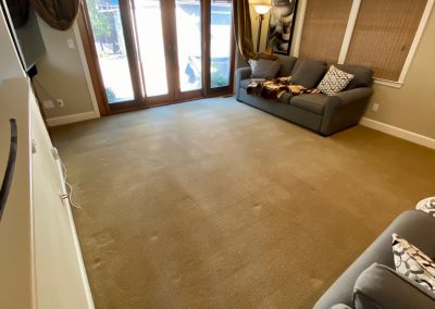 Residential Carpet Cleaning in San Mateo, CA 94402