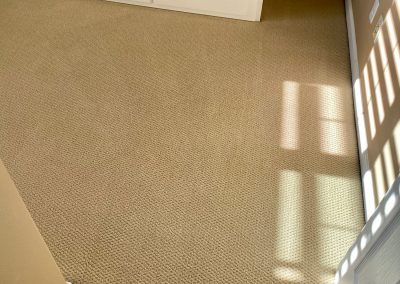 Residential Carpet Cleaning in Belmont, CA