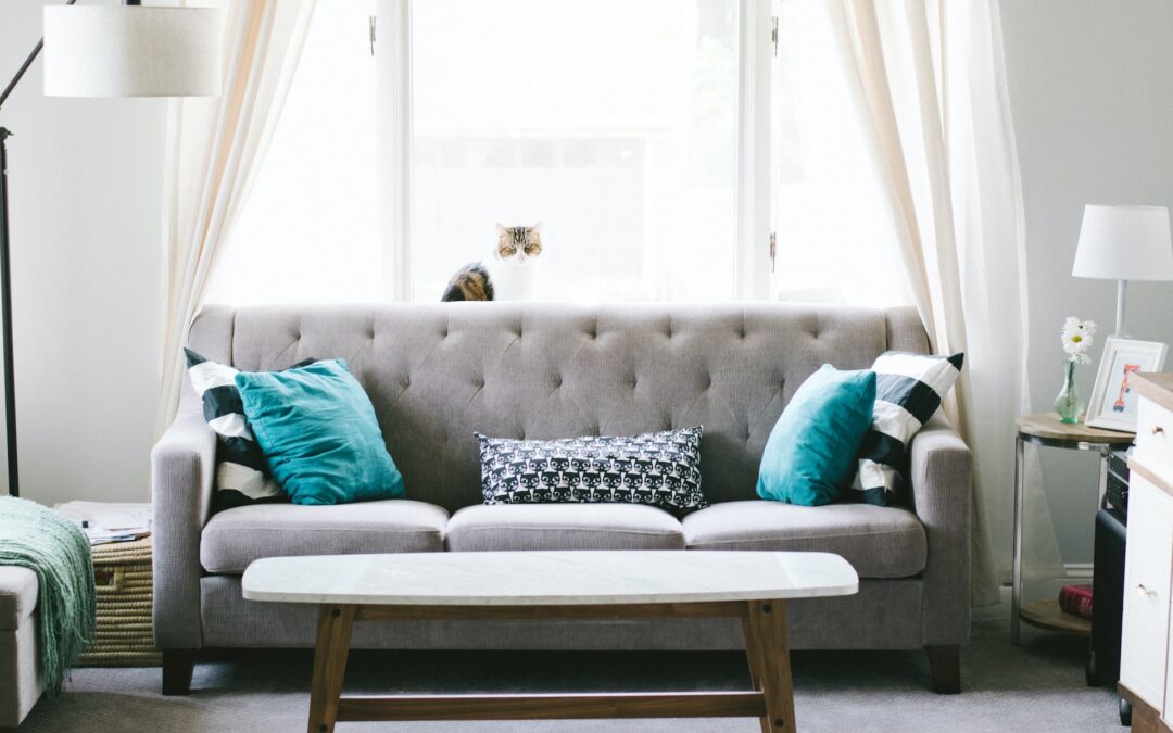 The Benefits of Professional Upholstery Cleaning Services for Your Home