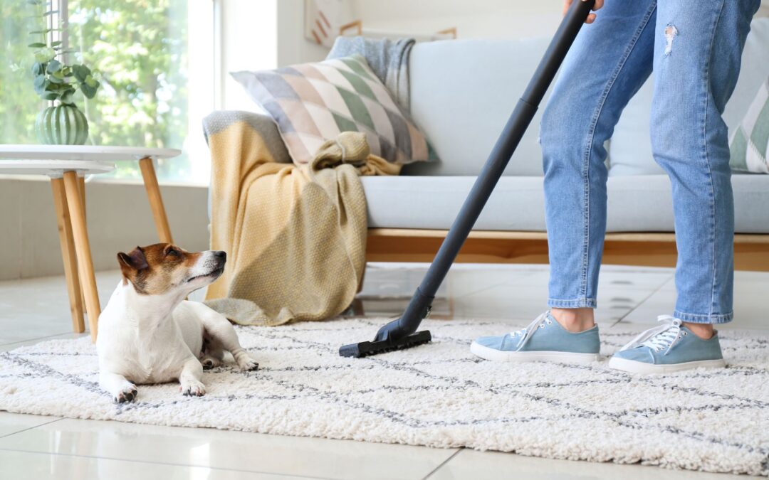 Top Eco-Friendly Carpet Cleaning Tips for Homeowners